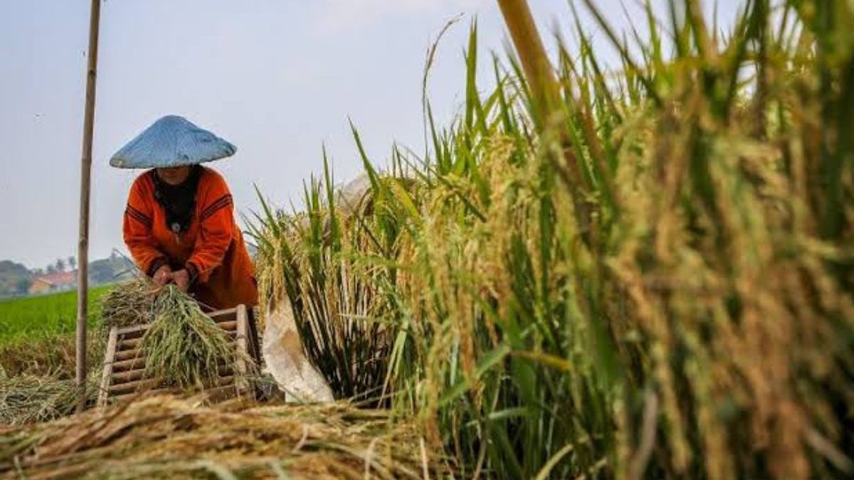 ADB: It Needs Breakthrough To Build Agricultural Productivity In The Country