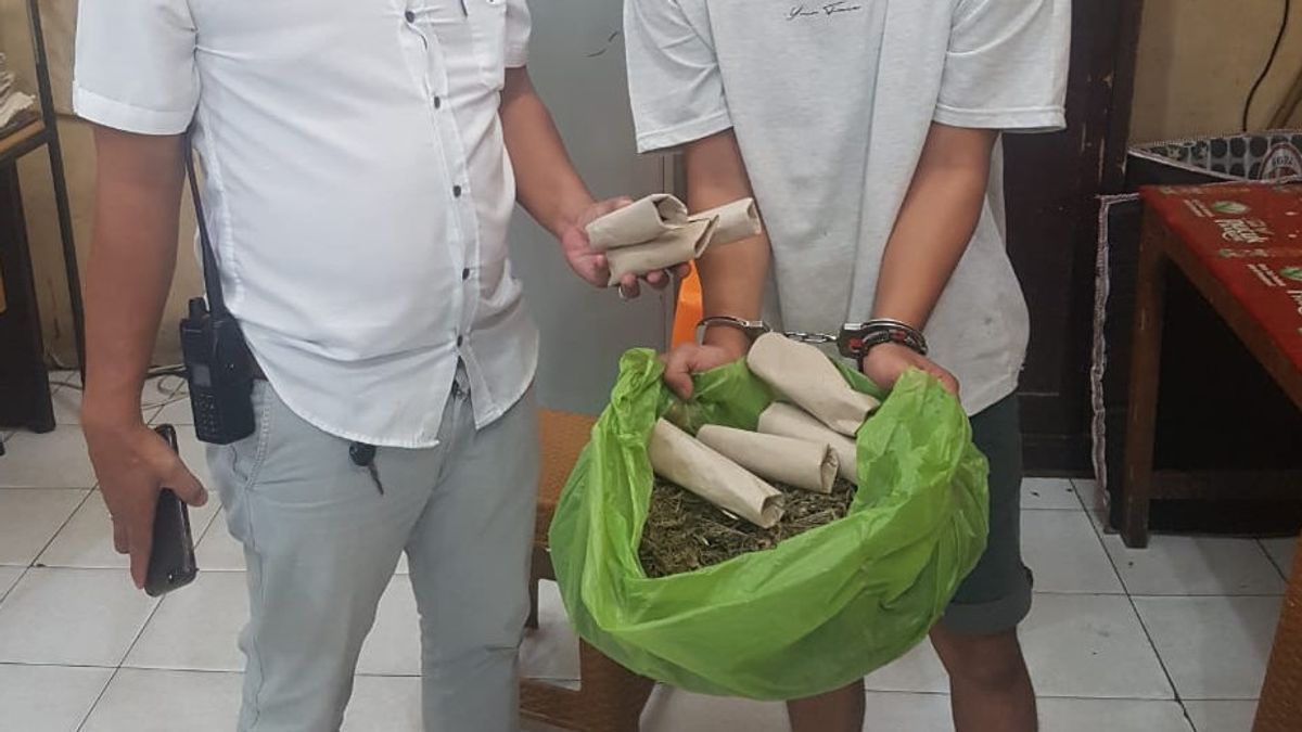 Residents Of Siborong-borong Were Arrested By The East Medan Police, 1 Kg Of Ganja Ready To Edar Disita