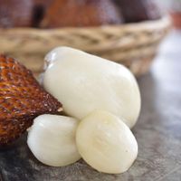 Apakah Ibu Hamil Boleh Makan Salak? Cek Faktanya di Sini 
