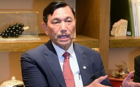 Larang Mudik Lebaran 2021, Luhut: Kita Tidak Punya Banyak Pilihan, Jangan Sampai Kasus Naik 30 Persen