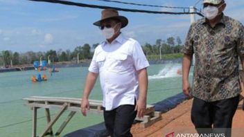 Gubernur Bangka Belitung Kembangkan Ekspor-Impor; PT Timah Perdalam Alur Pelabuhan Belinyu