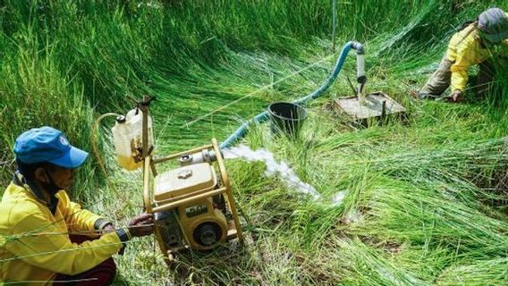 Pemkab OKI Fokus Meningkatkan Pemulihan Ekosistem Gambut dan Perlindungan dari Ancaman Karhutla