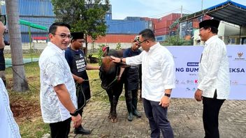 ダナレクサはインドネシアの8都市の16,000世帯に212頭の犠牲の動物の頭を配布