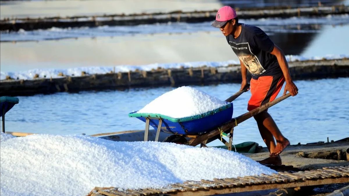 الحكومة تعيد فتح صنبور استيراد الملح الصناعي