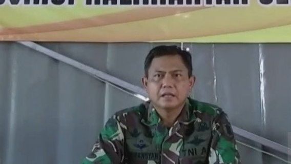 11 Kabupaten/Kota di Kalsel Terancam Gagal Panen Akibat Banjir, Butuh 500 ton Benih Padi 