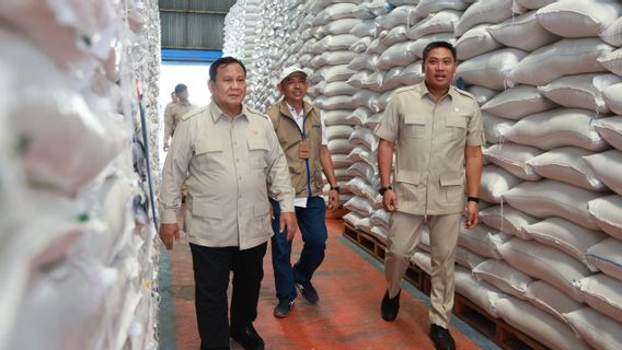 Ketum Tani Merdeka: Sidak Prabowo-Sudaryono ke Gudang Bulog Hapus Keraguan Soal Swasembada