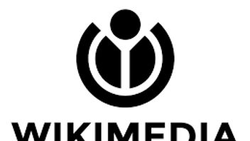 Komdigi promet que l'accès à Wikimedia sera normalisé après la liste PSE
