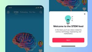 Begini Cara Mengakses Feed STEM Bagi Akun Dewasa di TikTok 