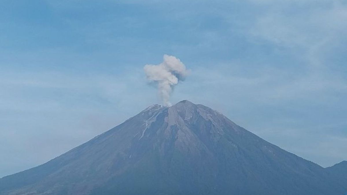 Pagi Ini, Gunung Sumeru Erupsi 8 Kali Muntahkan Abu hingga 800 Meter