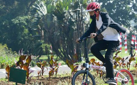 IKN Tak Cocok Buat yang Suka Naik Mobil, Jokowi: Pejalan Kaki dan Sepeda, Silakan ke Ibu Kota Baru