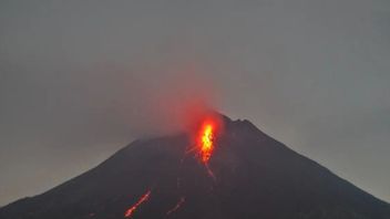 一周内,默拉皮火山发射了143次熔岩雪崩