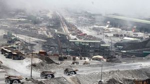 Rampung Mei, Smelter Freeport Gresik Baru Produksi Katoda Akhir Agustus