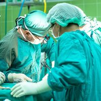 100 Dokter Meninggal Akibat COVID-19, Epidemiolog: Kerugian Besar Bagi Indonesia