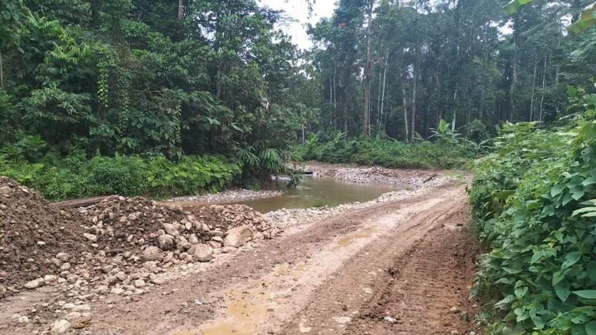 Le Projet De Jokowi Pour La Construction De La Route Trans-Papouasie Occidentale Approuvé Par Le Chef Kuri Wamesa-Soug, Mais...