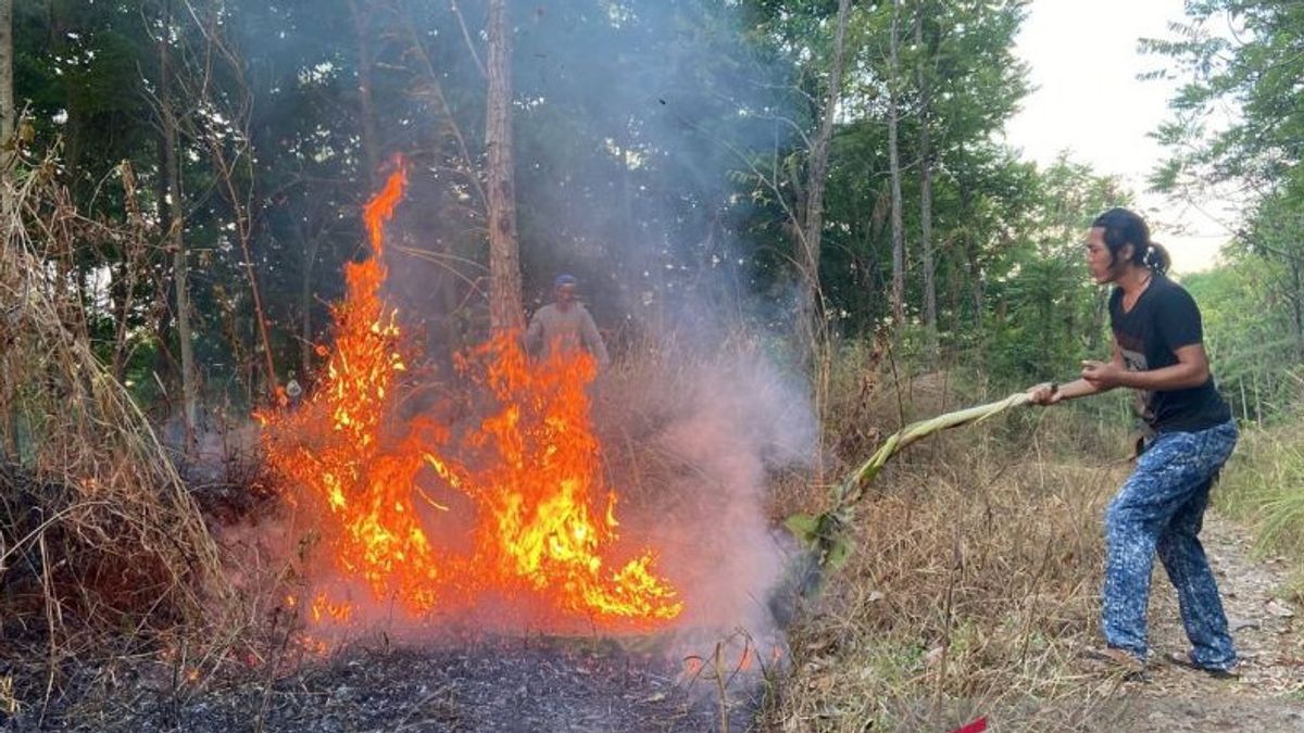 Lokasi Sulit Dijangkau, BPBD Cianjur Tangani Kebakaran Lahan 17 Hektare Kawasan Gunung Gombong Lewat Manual