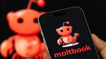 What is Moltbook that is called the AI's social media?