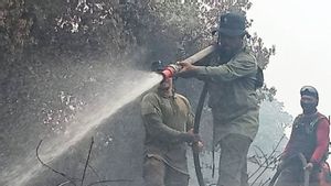 Tim Gabungan Berjibaku Padamkan Api, Lahan Terbakar di Aceh Barat Mulai Terkendali