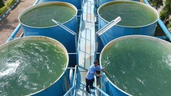 Perumda Danum Taka Reveals Clean Water Production In North Penajam Paser Free Falls Only 50 Percent