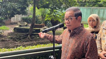 Cek Langsung Kondisi Harimau Ragunan yang Viral, Pramono: Ternyata Sangat Sehat