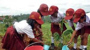 Temanggung Siapkan 125.000 Bibit Pohon untuk Hijaukan Lahan Kritis