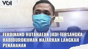 VIDEO: Ferdinand Hutahaean Jadi Tersangka, Habiburokhman Wajarkan Langkah Penahanan