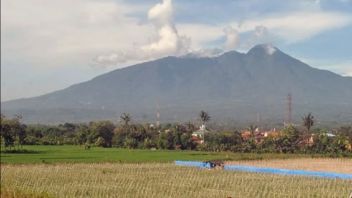 Bogor Regent Asks Residents Of Mount Salak's Foot To Be Alert After 2 Earthquakes