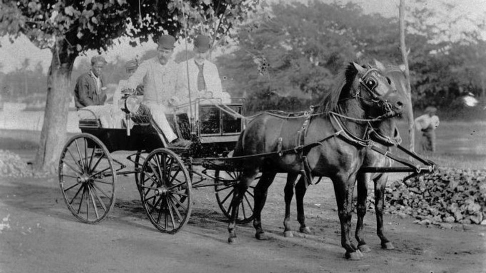 VOC時代の高級品税対象馬車