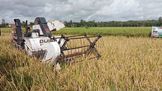 肥料の使用を合理化し、農業省はインドネシア全土の農家にバイオサカの施用を奨励しています