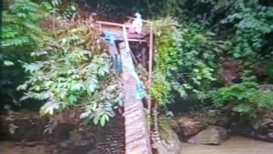 Jembatan Terputus, Dua Kampung di Dua Koto Pasaman Terisolasi
