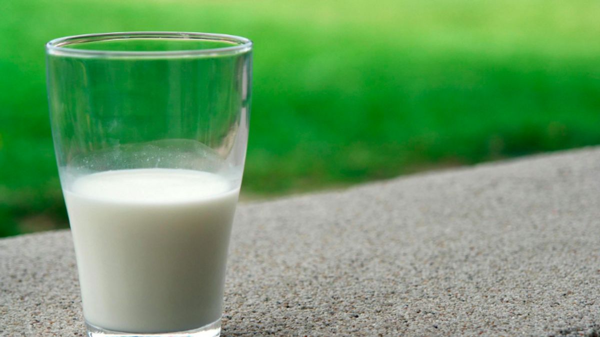 Bukan Sekadar Minuman, Ini 4 Manfaat Rutin Minum Susu Setiap Hari