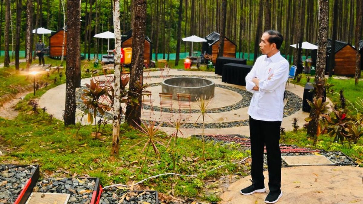 Jokowi Reveals Most Questions Asked By Residents Who Want To Move To IKN