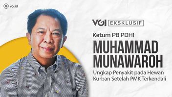 VIDEO: Eksklusif, Ketum PB PDHI Muhammad Munawaroh: Penyembelih Hewan Sebaiknya Bersertifikat