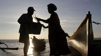 KKP Buka Suara Soal Banyak Nelayan Tak Melaut Sejak Juli 2023, Begini Katanya