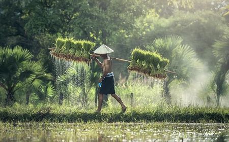 Akses Pangan dan Peran Penting Petani di Tengah Pandemi COVID-19