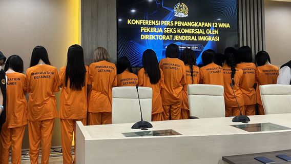 Petugas Ungkap Cara 12 PSK Asal Vietnam Masuk ke Indonesia Agar Tidak Dicurigai