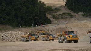 Potensi Emas Capai 7 Juta Ounces, Merdeka Gold Mulai Deep Drilling 3.600 Meter di Tambang Emas Pani