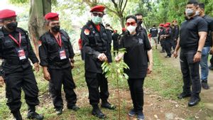Rela 'Kotor' Bersihkan dan Tanam Pohon di DAS Ciliwung, Menteri Yasonna: PDIP Bajunya Merah Tapi Peduli yang Hijau