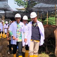 Jelang IdulAdha, Pengawasan Hewan Kurban Perlu Diperketat untuk Cegah Antraks
