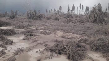 Alerte Au Tsunami Volcanique De L’éruption Du Mont Taal Aux Philippines