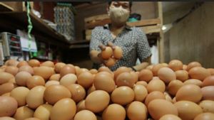 Harga Telur di Pasar Tradisional Batam Naik 20 Persen, Pedagang: Saya Jualan 7 Tahun, Ini Harga Paling Tinggi