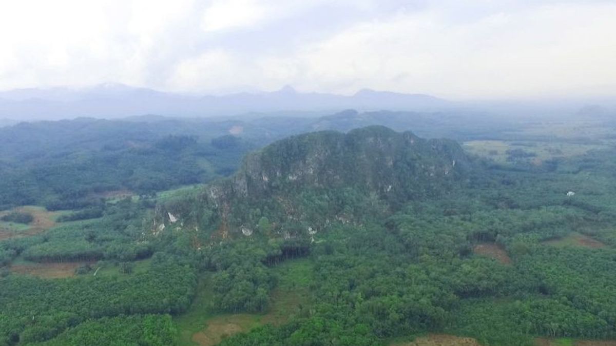 Langara Loksado Stone Hill In South Kalimantan Is Called Originated From Frozen Orbitulina Marine Animal Fossil