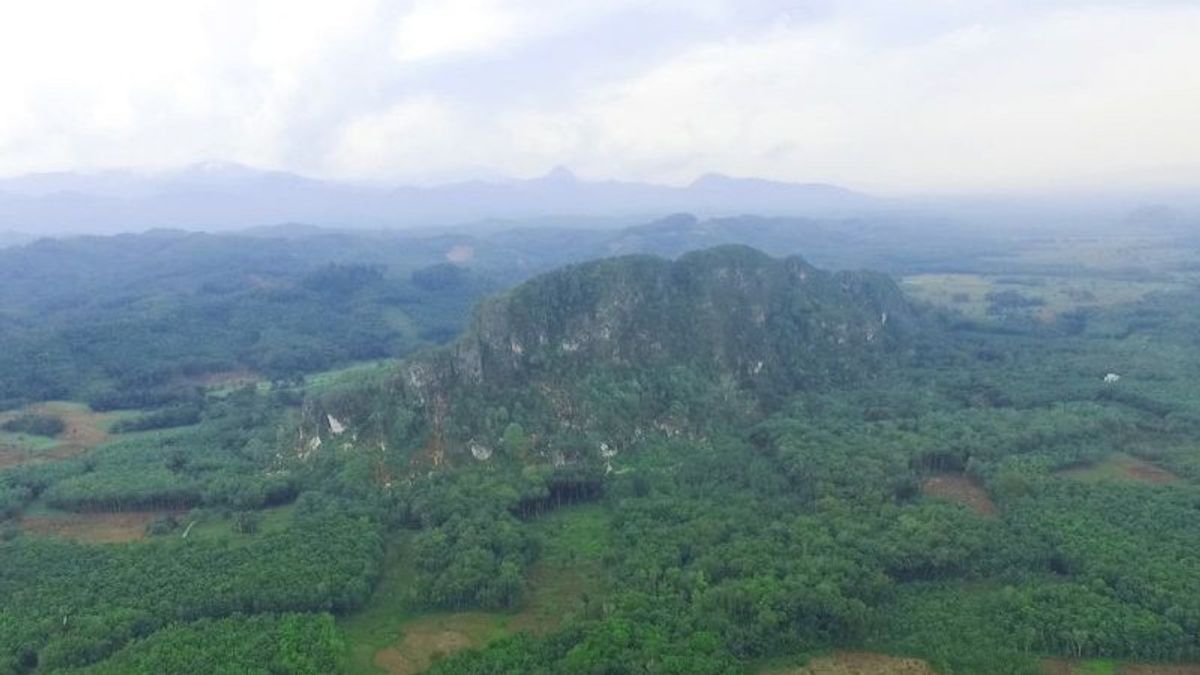 Batu Bukit Langara Loksado Kalsel Disebut Berasal dari Fosil Binatang Laut Orbitulina yang Membeku