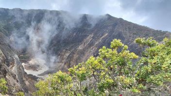 جاكرتا - لغز الجثة المجهولة الهوية على جبل سيراماي ، يشتبه في أنها توفيت منذ أسبوع