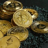Market Crypto Sedang Bear? Begini Cara Hadapi dan Strategi Untuk Investor Pemula