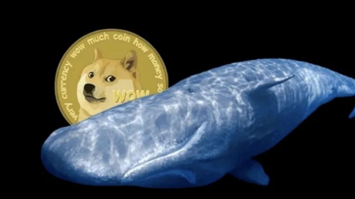 La baleine cryptographique a percuté 1,4 milliard de DOGE de Dogecoin