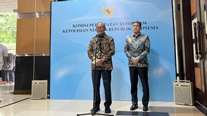 Aktivis Kritik Banyak Purnawirawan Masuk Korporasi, Komisi Reformasi Polri: Itu Hak Mereka 