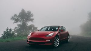 Bisnis Rental Mobil Lebih Menggiurkan, Hertz Pesan 100 Ribu Unit Tesla Model 3