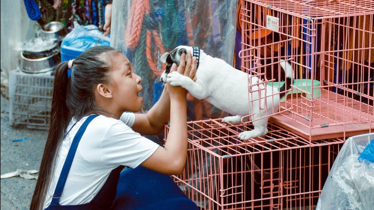 Dispertan fournit 2 000 vaccins contre la rabie, ciblés pour animaux domestiques et sauvages à Cilacap