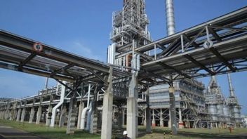 Industri Petrokimia Usulkan Perlu Adanya Keterbukaan antara Sektor Hulu dan Hilir untuk Tingkatkan Nilai Investasi