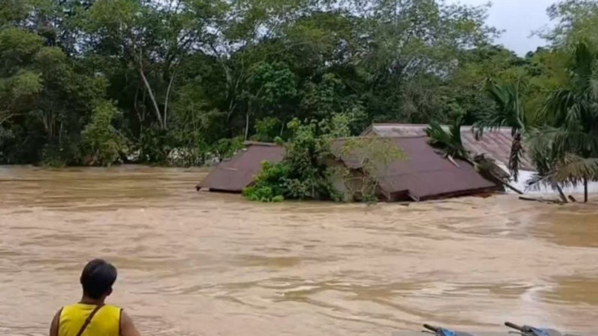 Banjir Setinggi Atap Rumah di Berau Kaltim, Ratusan Warga Dievakuasi